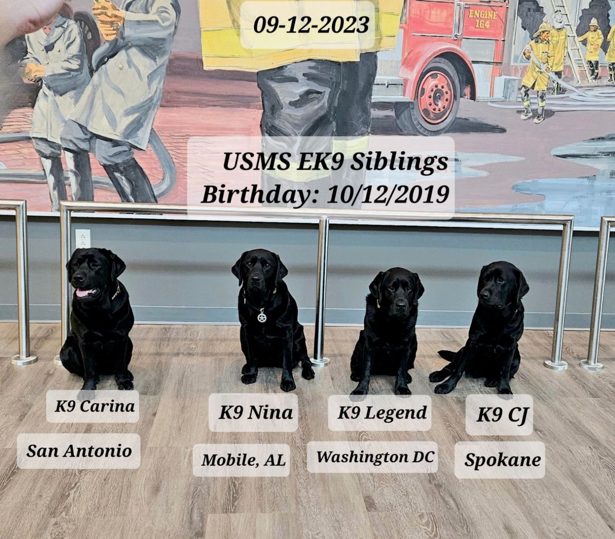 U.S. Marshals Service Mobile tweet media