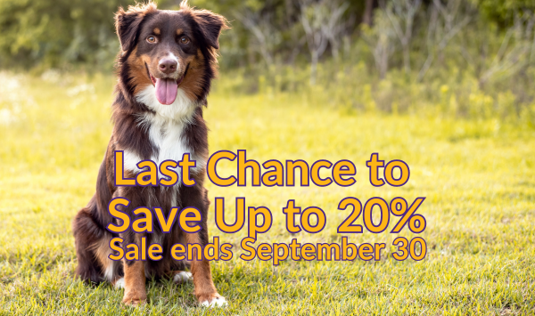 KPCT's tweet image. Last chance to save up to 20% on online courses, training essentials, and streaming videos. Hurry, the sale ends Saturday, 9/30 @ 11:59 pm (ET)! shorturl.at/fxGZ2