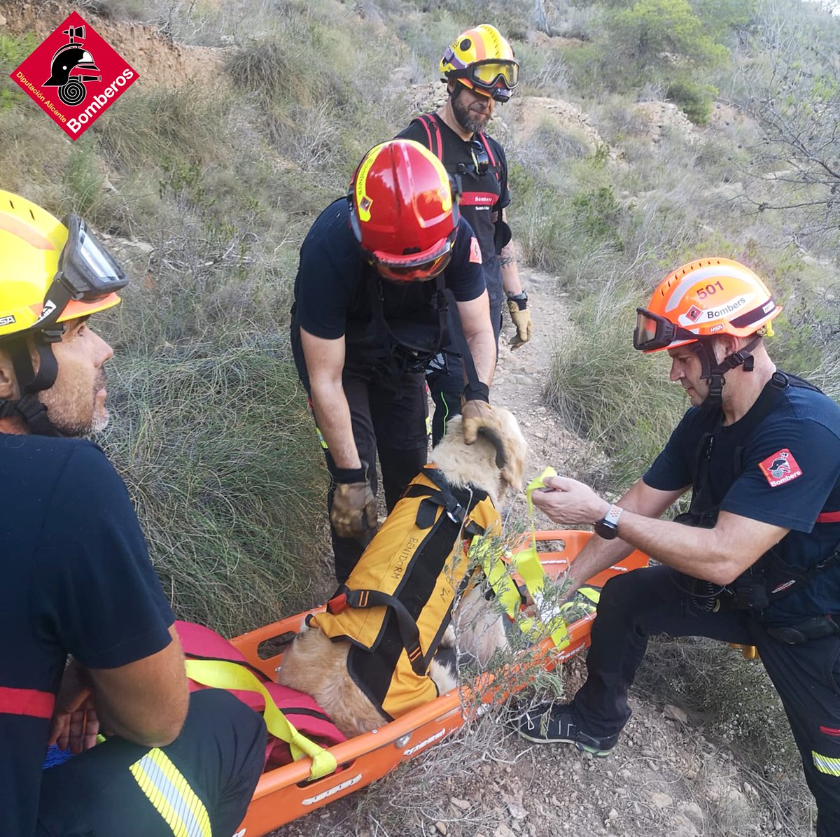 Consorcio Provincial Bomberos Alicante tweet media