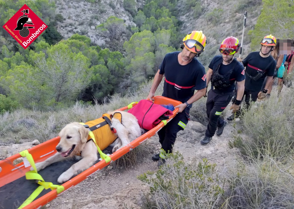Consorcio Provincial Bomberos Alicante tweet media