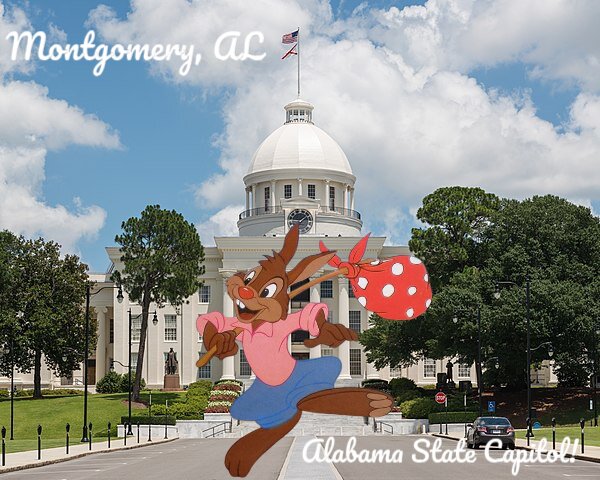 SOTSBrerRabbit's tweet photo. Probably 🐇 Hoping over my hometown in Sweet Home Alabama, Montgomery! 

Hopefully that b'rer 🦊 fox doesn't know where I am! https://t.co/pHKlgUZEvC
