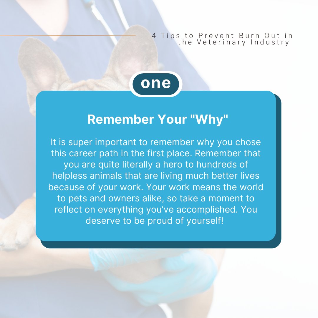 Vetcetera tweet media