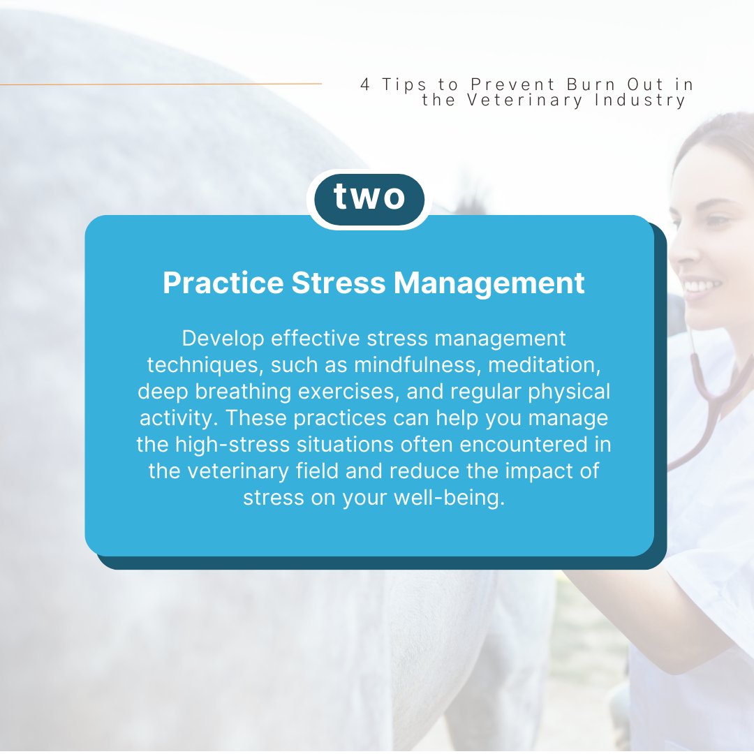 Vetcetera tweet media