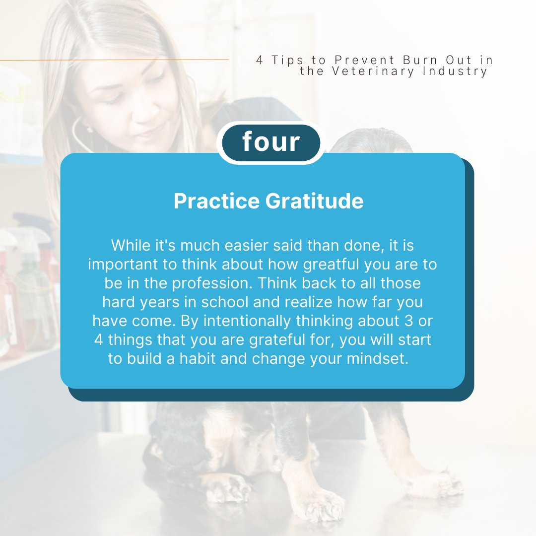 Vetcetera tweet media