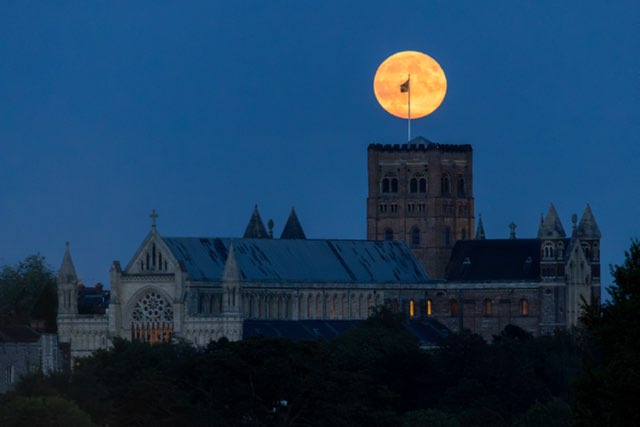 What an amazing picture of tonight's Harvest Moon.  Thanks <a href="/shepheardphotos/">Toby Shepheard Photography</a> for sharing 🌕