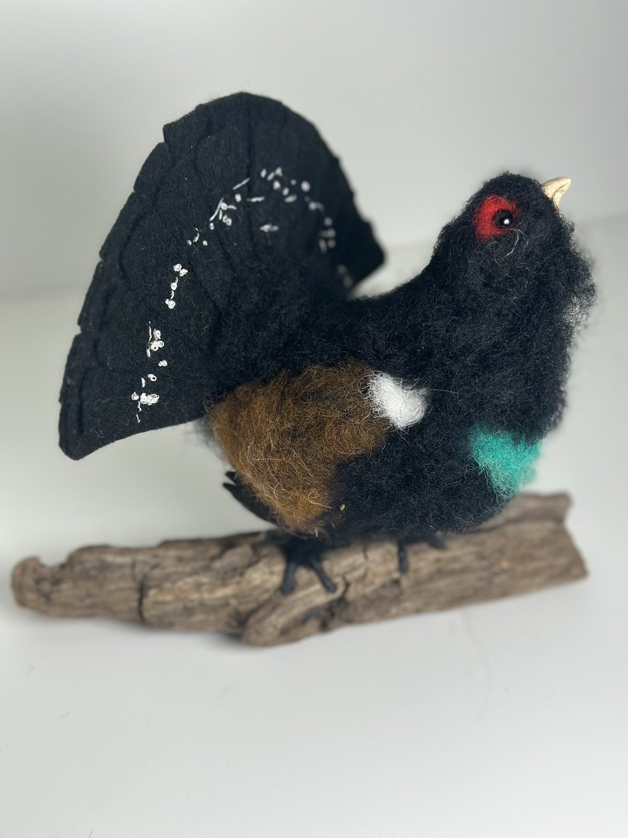 ffinlaysonart's tweet image. Loved seeing the real Capercaillies on Landward - here’s a needle felted version  #BBCLandward #Capercaillie