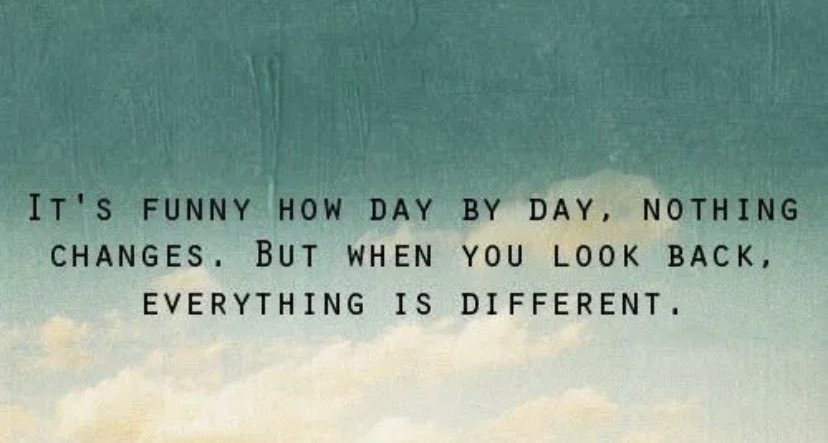 Michelle Higgins tweet media