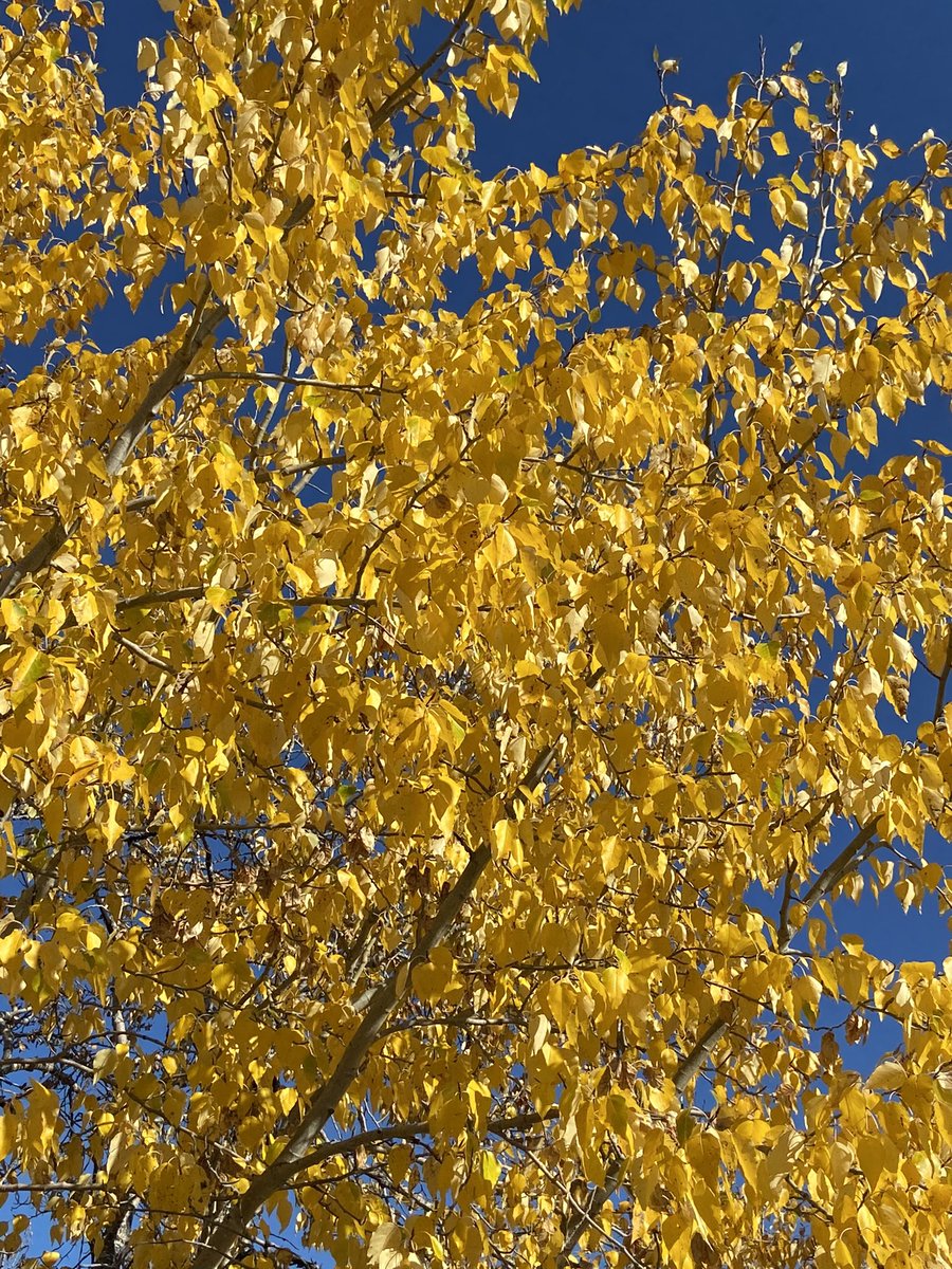 Kevin Dunse tweet media