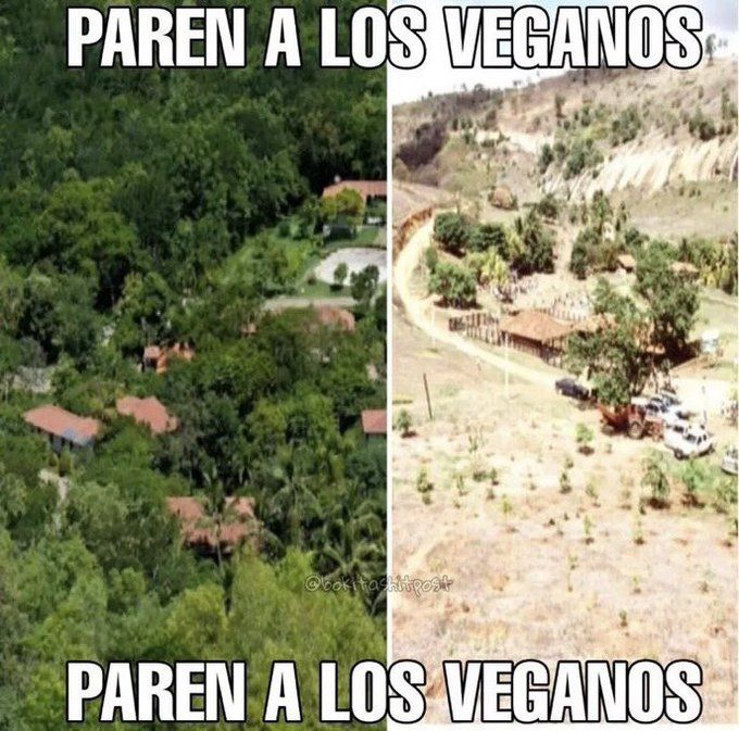 se están comiendo toda la vegetación