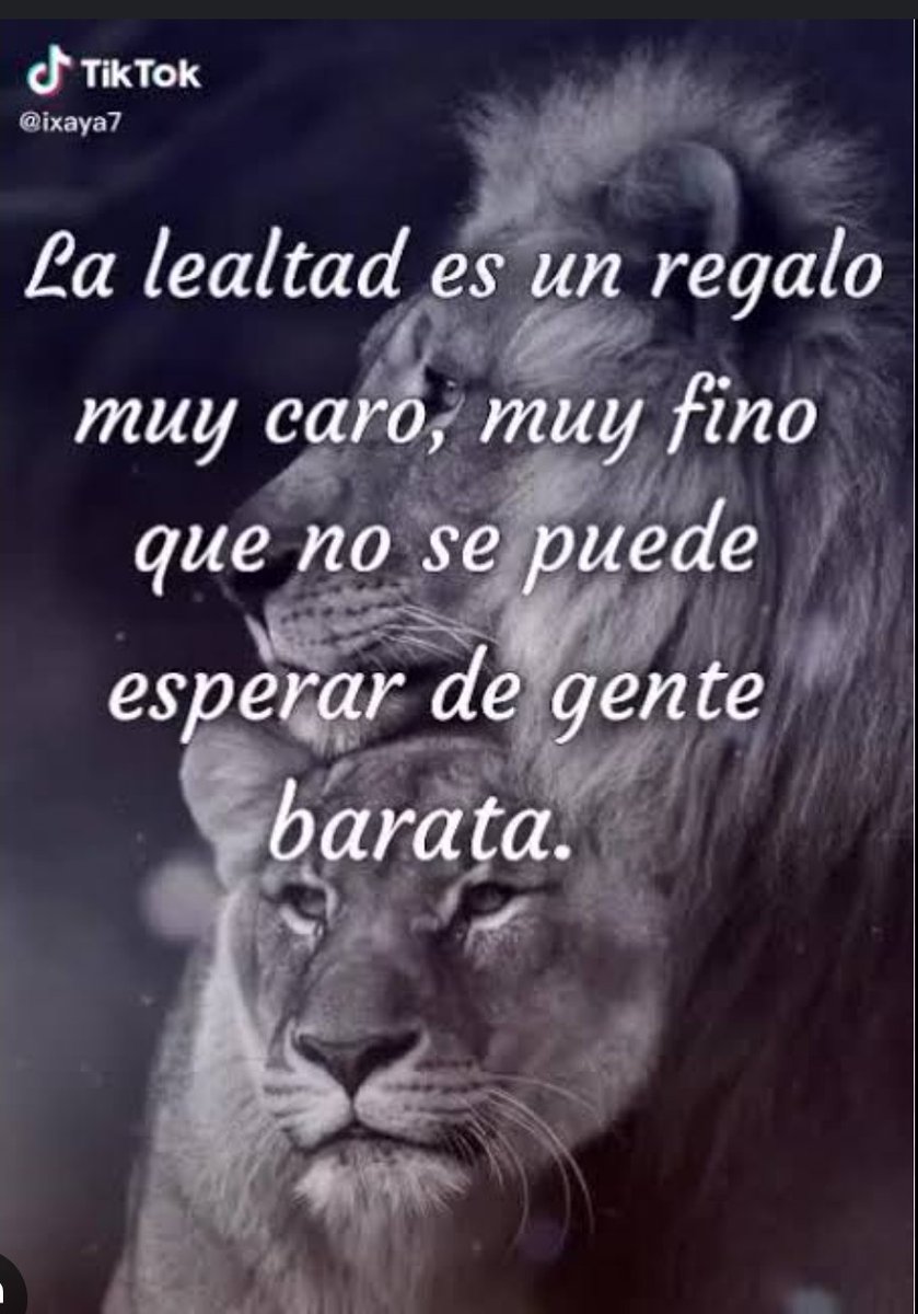 Monik_Boris's tweet photo. *#LealPorElección https://t.co/Hu1yBAS9X4