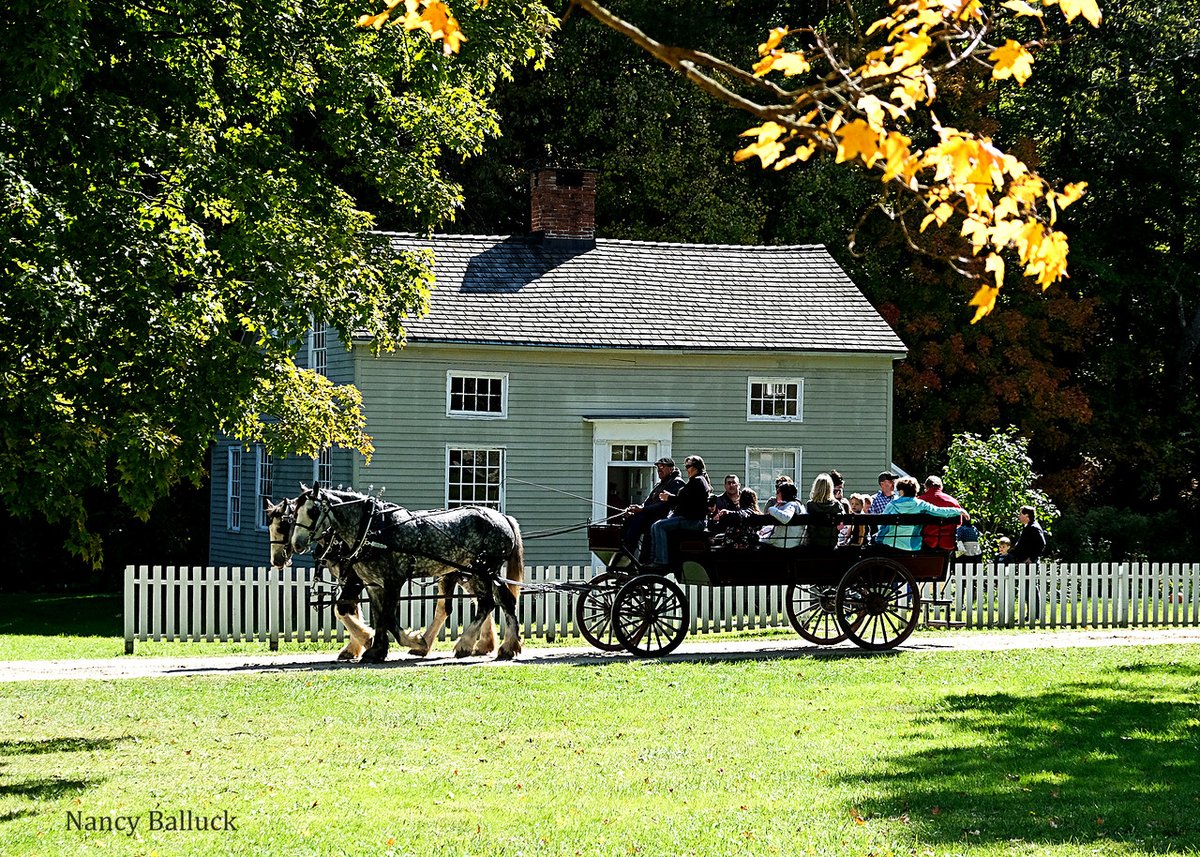 We are so excited to have Trail Light Farms - Drafts join us for Harvest Festival!

Sign up for a free ride on the day of the event! Spots will be on a first come, first serve basis.

Join us Oct. 7-8 &amp; 14-15!