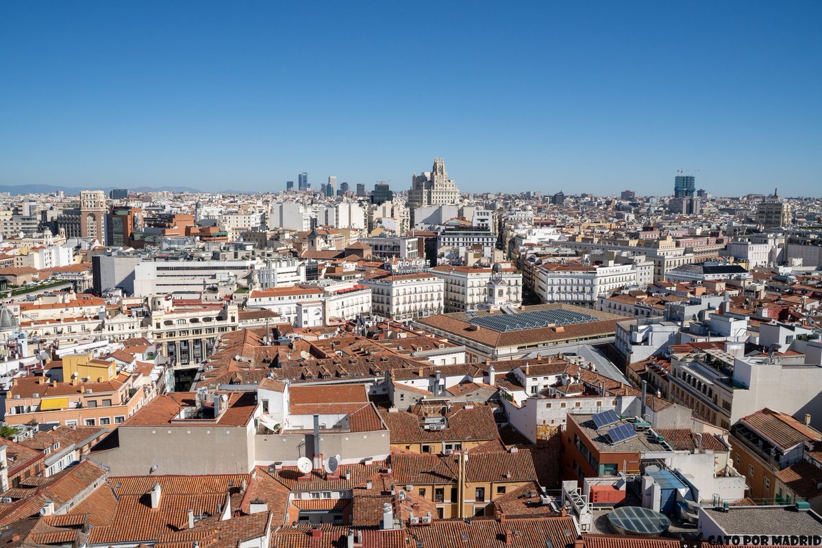 gatopormadrid tweet picture