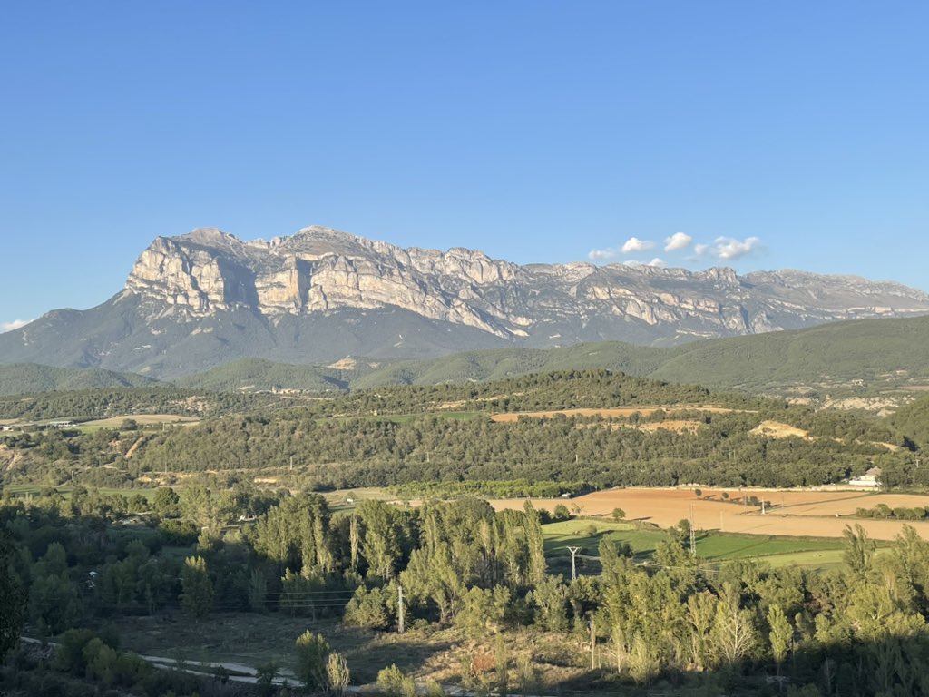 Jim Scarratt tweet media