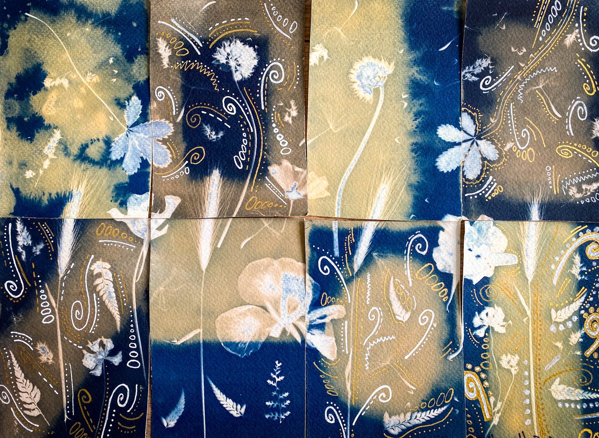 maverickart's tweet image. Selective toning work in progress. I’m still drawing into it. Toned with ginger and turmeric tea, coffee, and camomile tea. #cyanotype #altprocess #art