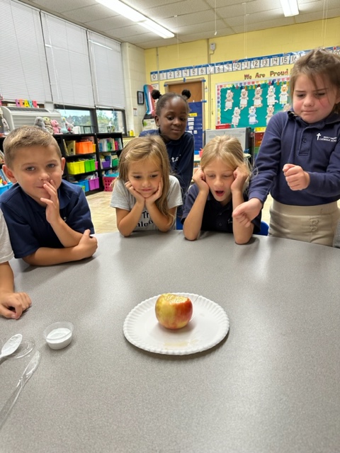 1st grade was all about apples this week. They even performed an exploding apple experiment!