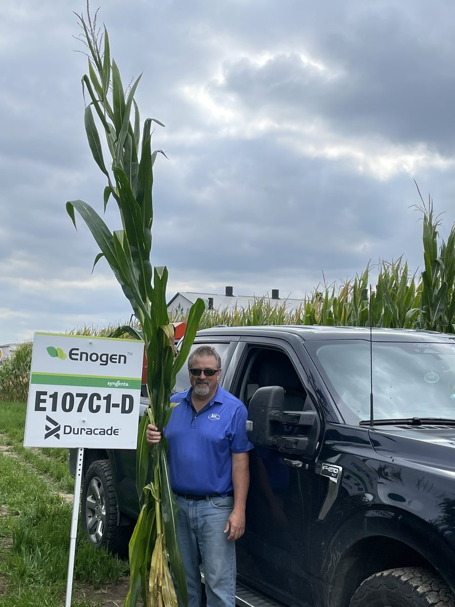 Doug Helm tweet media