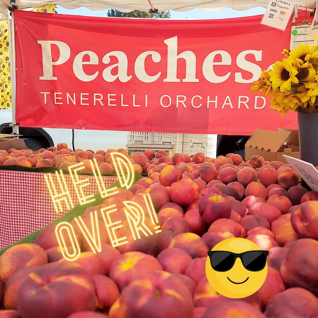 BurbFarmMkt's tweet photo. Last week for fabulous stone fruit from TENERELLI ORCHARD!  

#yum #peaches #burbankca #familyfarmers #farmersmarket https://t.co/xLxf60660B