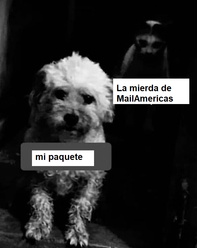 Chingas a tu madre MailAmericas tweet media