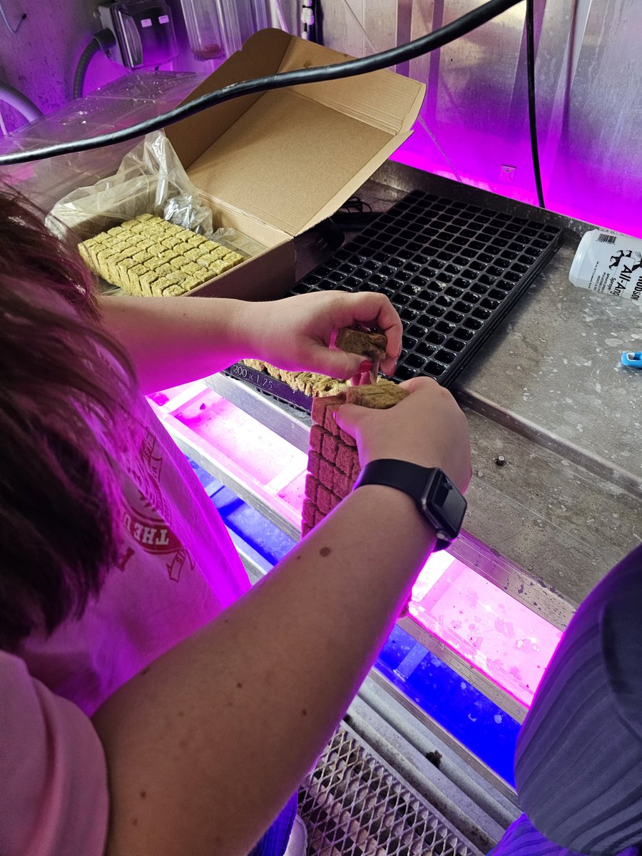 Studying hydroponic systems is fun!  Stay tuned!!!  <a href="/TRINITY_MLUCAS/">Dr. Michael Lucas</a> <a href="/thstrinitypride/">Trinity High School</a>