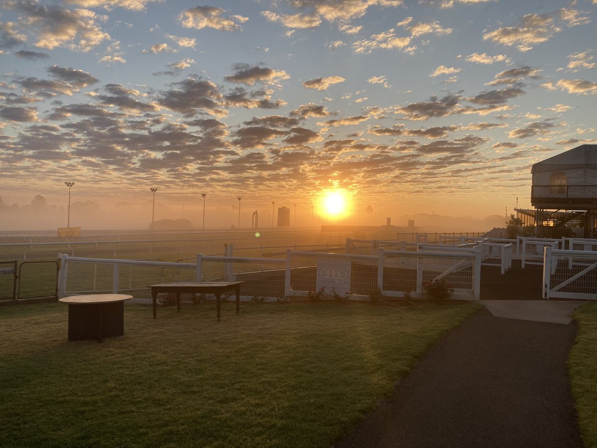 taity69's tweet photo. Good morning from @CliffordPark_ #crackingday #golions #gobroncos @Kiaarn @jamesjoshea @michaelmaxworth @Chargey76 @PaulJoice1 @stevejoseph69 https://t.co/9rRutEVdXL