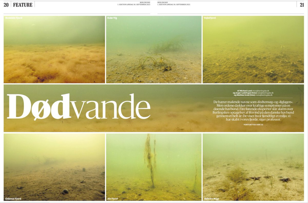 I et helt år har Berlingskes fotojournalister gennemfotograferet Danmarks havbund. Resultatet er skræmmende: Det ligner et månelandskab, helt uden liv. Sagkyndige peger entydigt på hovedårsagen: landbruget. Følg med på berlingske.dk fra i morgen.