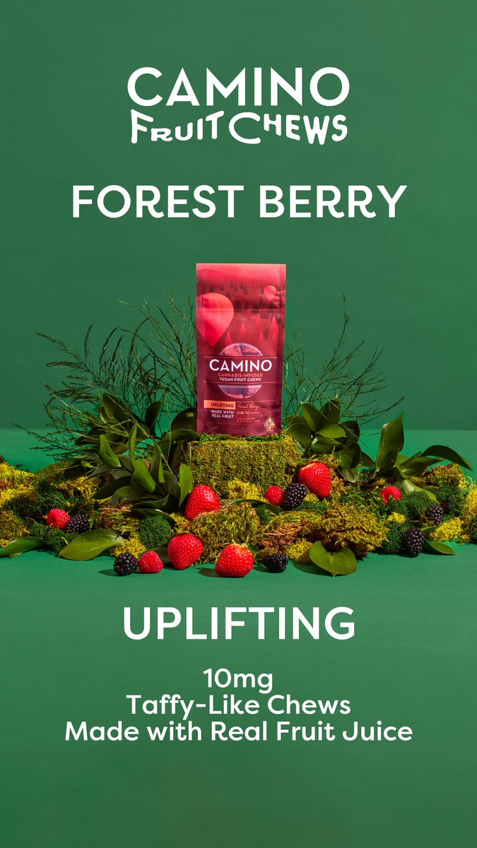 Elevate every moment with new Forest Berry "Uplifting" Camino Fruit Chews. These vegan delights are crafted with real fruits and all-natural ingredients- including pectin, which ensures they keep their form and flavor even on the hottest of days 🍓