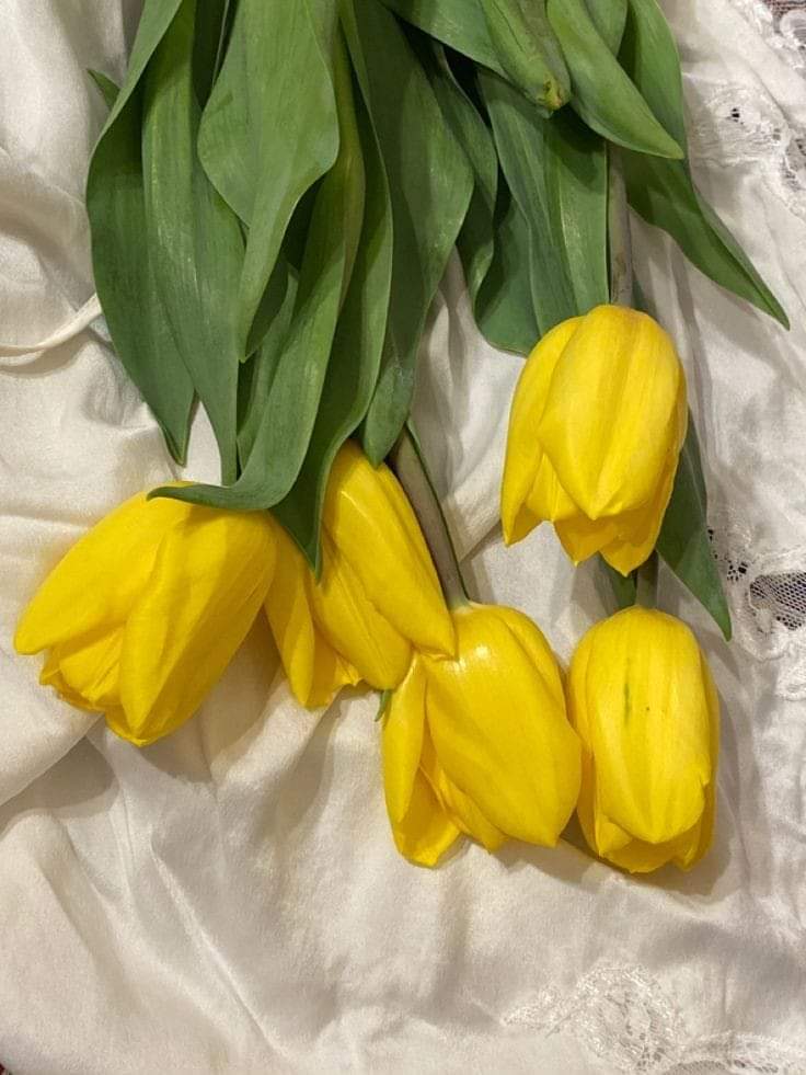 #loyal #AMY🅰️
<a href="/Alaayous3/">alaa amy</a>
<a href="/linaassil_assil/">Linaa Alassill2</a>
@Ozlerntr
<a href="/maha8321553/">🌸maha🌸</a>
<a href="/Gigi46830095/">ا. i1iitالخاص ممنوعGiGi</a>
<a href="/amr_snds5281/">لؤلؤ</a>
<a href="/Meire49050201/">Meyre</a>
<a href="/njwd629521/">حب الوطن 🌹😍🌹</a>
<a href="/rhybh178947/">بنت المملكه العربيه السعودية وافتخر</a>
@foz3x3
<a href="/_HZTT/">عيون المها 🇮🇶</a>
<a href="/RGirlfor/">Rahf ❤🥰</a>
<a href="/mirl00/">Miral</a>
<a href="/ZYNH511/">الزين ♡💗</a>
<a href="/6Do_o0/">جميله🧸</a>
<a href="/ALymnyh71/">‏❥‏‏‎‎‎‎‎‎ᬁعشق ᴀᴤʜᴋ</a>
<a href="/NyWatb61359/">تبعني واتبعك</a>
<a href="/T2030G/">لولوة</a>
@refer33514
@HfsmkJ75447
@Eyesha50
<a href="/ggloriagzz05/">🌟GGloria🌟</a>
@OrxgtI
<a href="/nor3rh/">💎Nor elrhman💎</a>