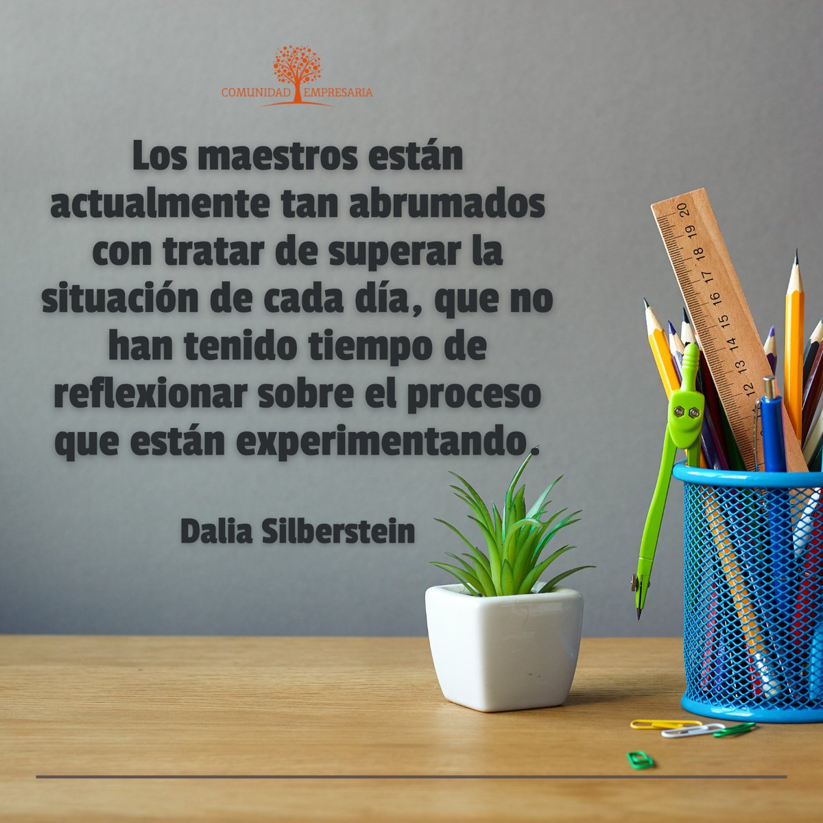 Acompañamos el contenido semanal con una reflexión de Dalia Silverstein 📝

#education #profesores #Tecnologia
