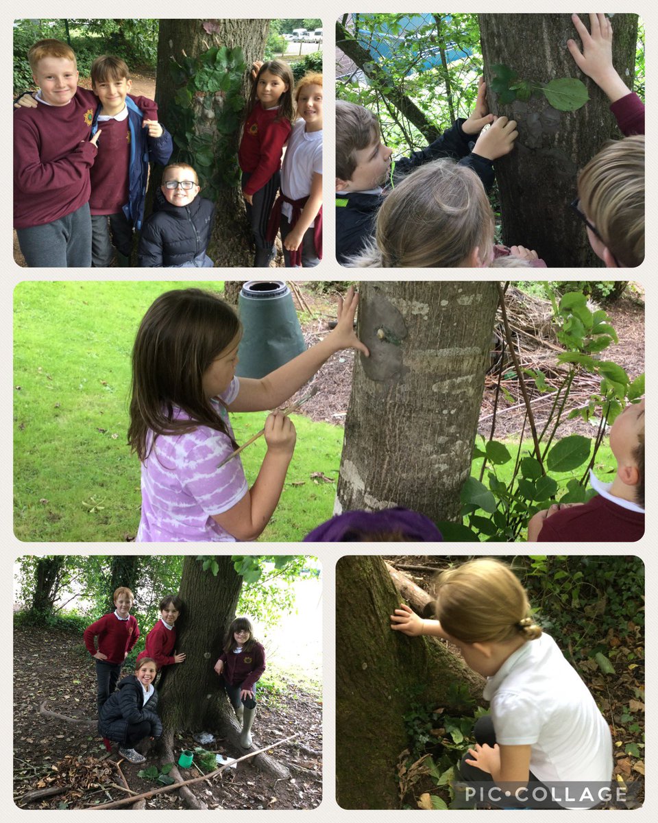 Blwyddyn 5 Cross Ash (@crossashy5) on Twitter photo A wonderful afternoon considering the story of the Green Man and how we all have a role to play in looking after the environment <a href="/CrossAshEIC/">Cross Ash Primary School Ethical Informed Citizens</a> A wonderful afternoon considering the story of the Green Man and how we all have a role to play in looking after the environment <a href="/CrossAshEIC/">Cross Ash Primary School Ethical Informed Citizens</a>