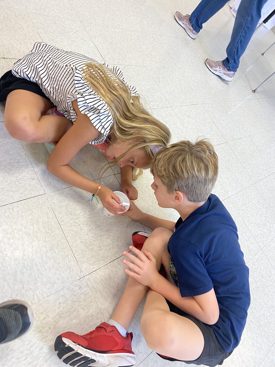 Mackenzie Duell tweet media