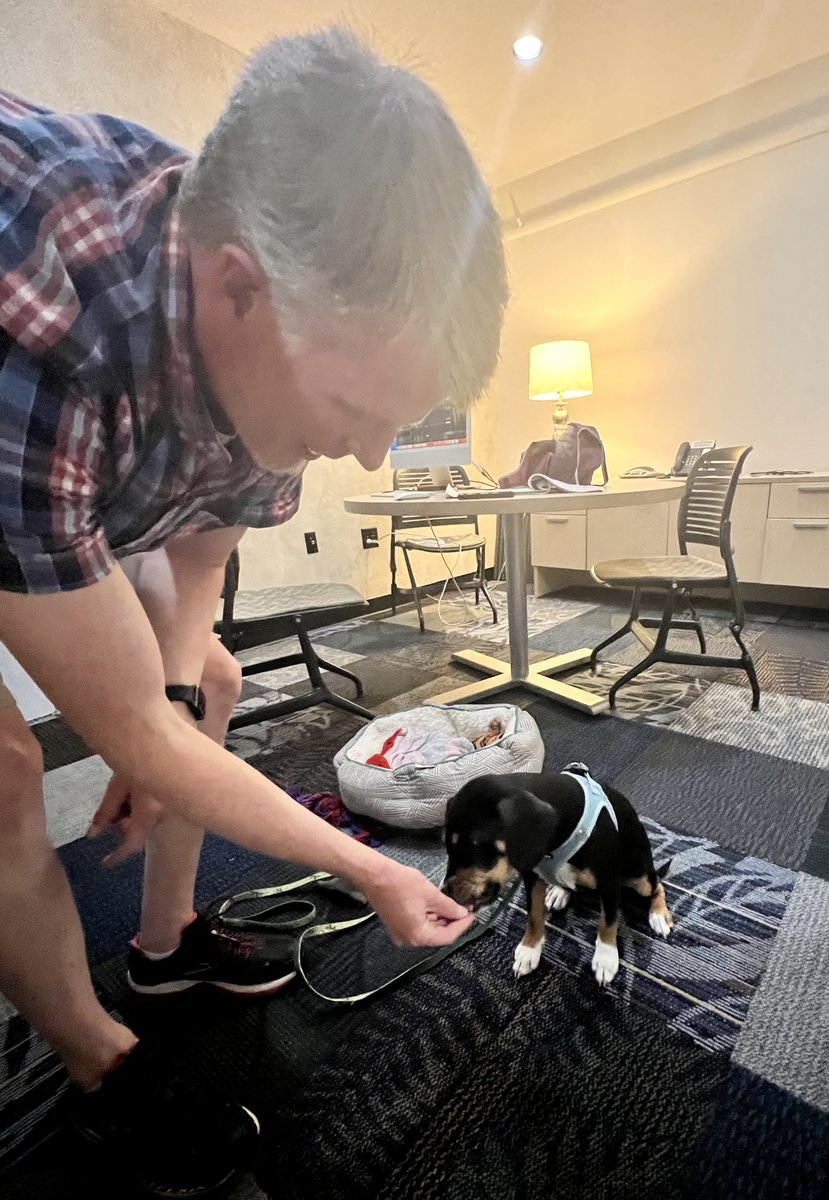 Geile/Leon Marketing tweet media