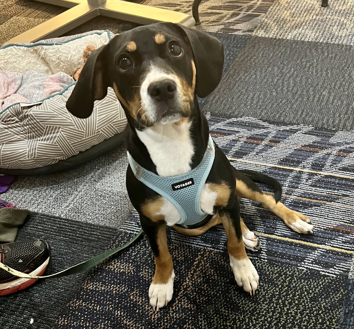 Geile/Leon Marketing tweet media