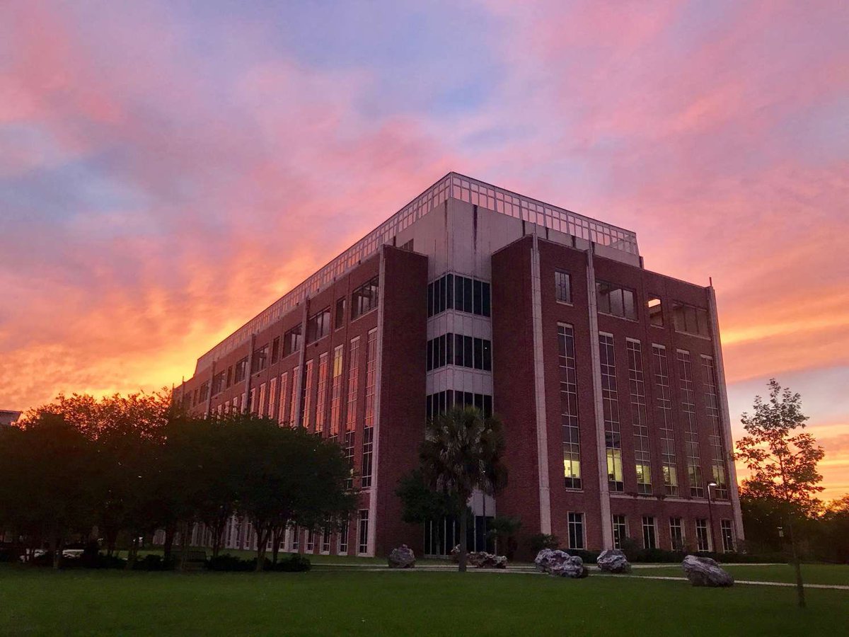 ilyas sahin, MD (@ilyassahinmd) on Twitter photo 📢 Job Posting 📢
Join the <a href="/UFHealthCancer/">UF Health Cancer Center</a> GI Oncology Program as a Clinical Research Scholar ✅✅✅
🌏 Are you an IMG passionate about advancing cancer research? We welcome your skills!
Learn more & apply now to make an impact in the fight against cancer! 💪 #IMGs 📢 Job Posting 📢
Join the <a href="/UFHealthCancer/">UF Health Cancer Center</a> GI Oncology Program as a Clinical Research Scholar ✅✅✅
🌏 Are you an IMG passionate about advancing cancer research? We welcome your skills!
Learn more & apply now to make an impact in the fight against cancer! 💪 #IMGs
