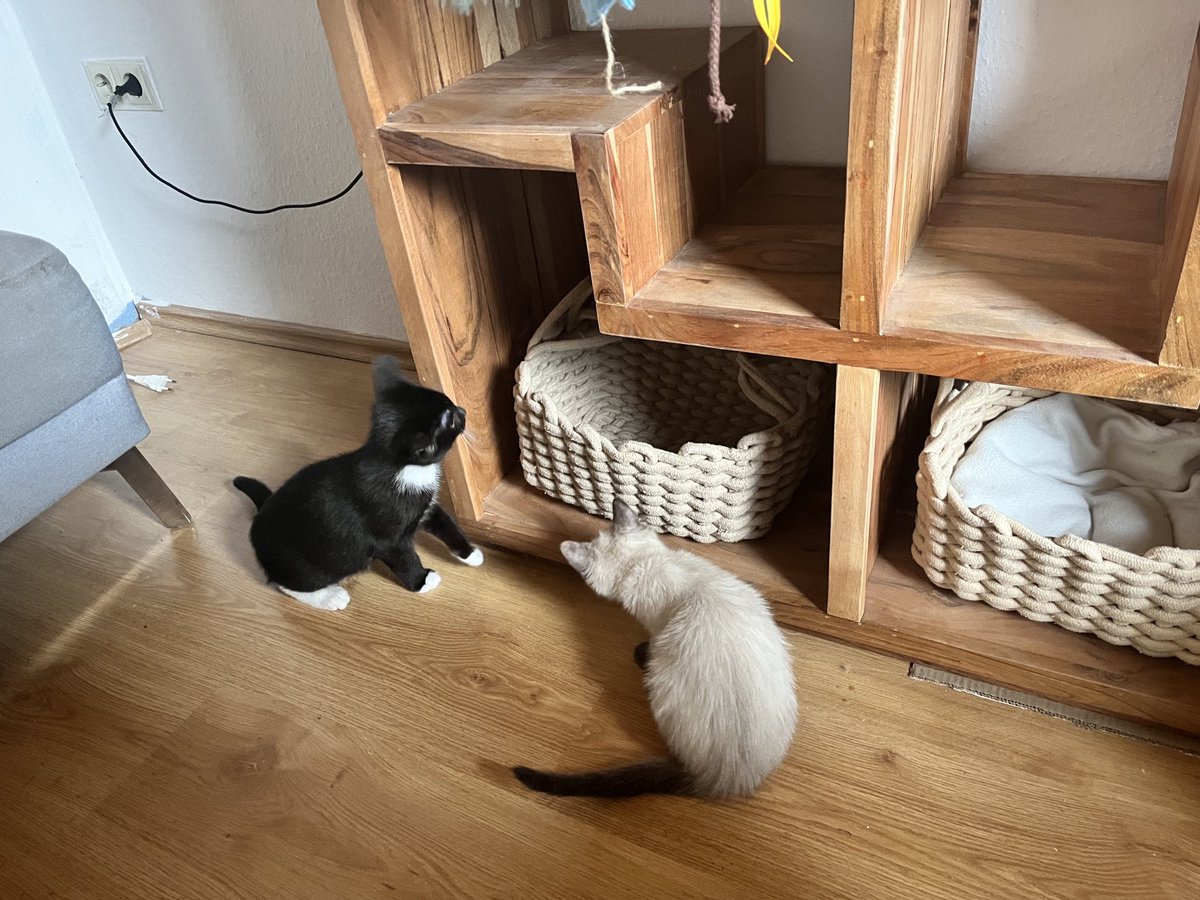 DocDennis 📯 (@dennisdoc1) on Twitter photo 