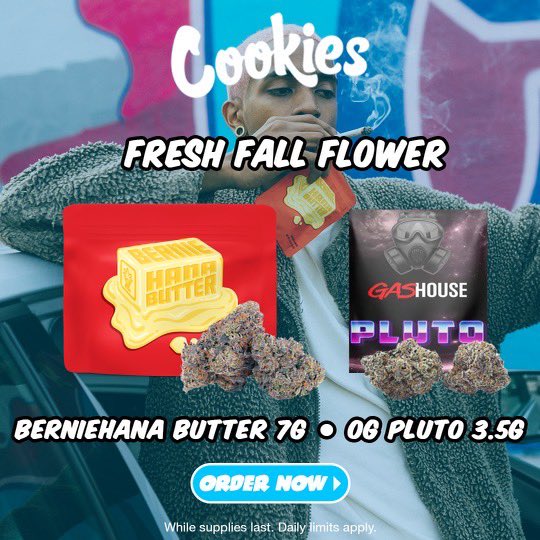 CookiesFL_'s tweet photo. Pull up for that fresh pack! Now available https://t.co/Ur2OqSVkxw