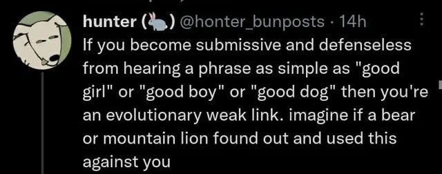 halsin baldur's gate 3.......................