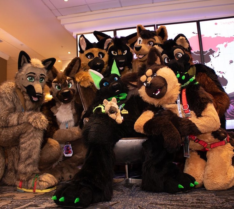 Starfire AKA Smol Doggo (@starfirewolfie) on Twitter photo It's the last #FursuitFriday of this wonderful month known as #Sheptember so have all the sheps!!
<a href="/Neioshepard/">Neio</a>
<a href="/FudgyShepherd/">Fudgy Shepherd</a>
<a href="/MadAxelShep/">Axel</a>
<a href="/Nero_gsd/">Nero</a>
I know I've missed a couple I'm unsure on their twitter >.<
Feel free to tag if you know them.
<a href="/cfconvention/">ConFuzzled</a> It's the last #FursuitFriday of this wonderful month known as #Sheptember so have all the sheps!!
<a href="/Neioshepard/">Neio</a>
<a href="/FudgyShepherd/">Fudgy Shepherd</a>
<a href="/MadAxelShep/">Axel</a>
<a href="/Nero_gsd/">Nero</a>
I know I've missed a couple I'm unsure on their twitter >.<
Feel free to tag if you know them.
<a href="/cfconvention/">ConFuzzled</a>