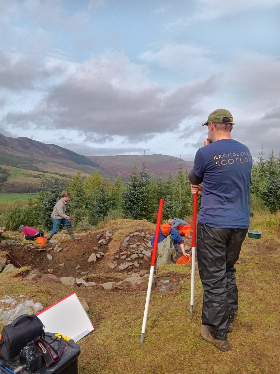 Stronafian Community Forest tweet media