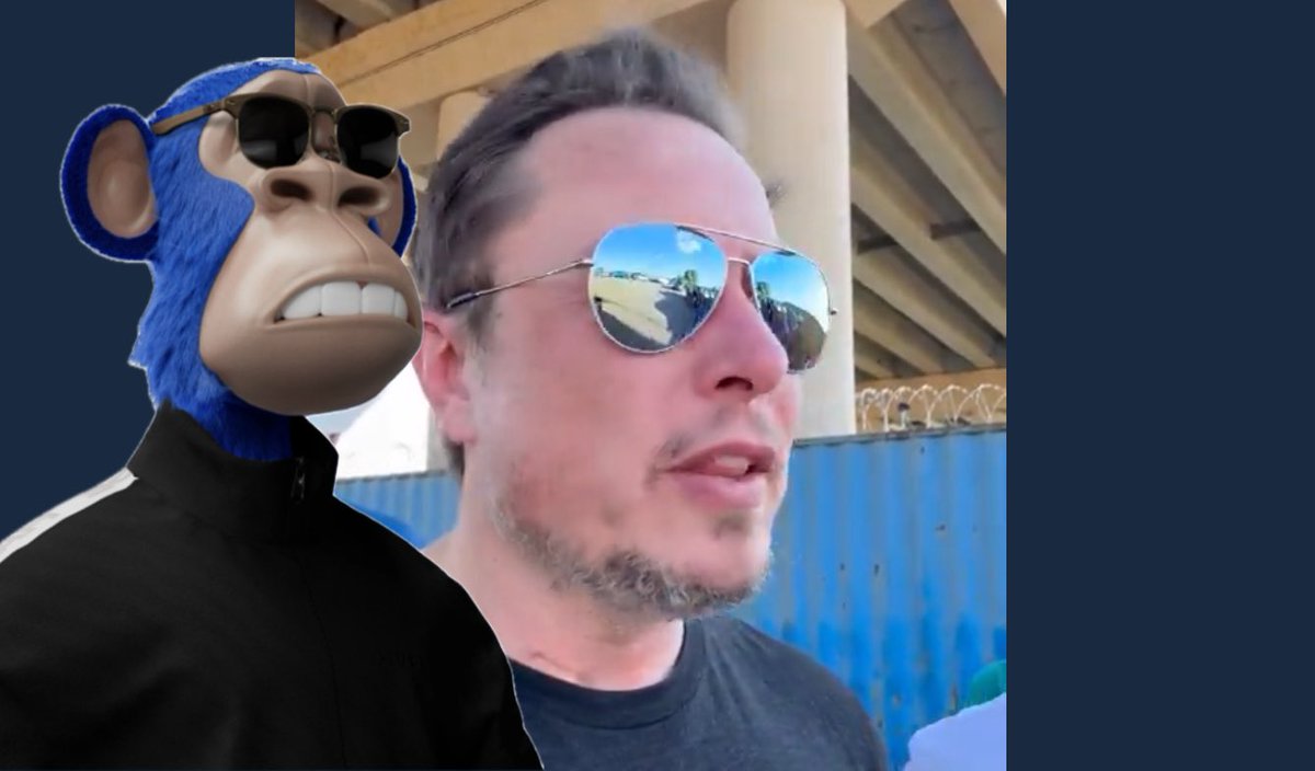 shibwick's tweet photo. @elonmusk Yo @elonmusk how you out there looking like my #Hape 🤣😂😭 

I love the @HAPEsocial community. Seriously a great bunch working hard to deliver to its holders/supporters/fans. 

It’s going to be a great journey watching the #hapenation take over the #nft #world! https://t.co/WlvWZHgSdB