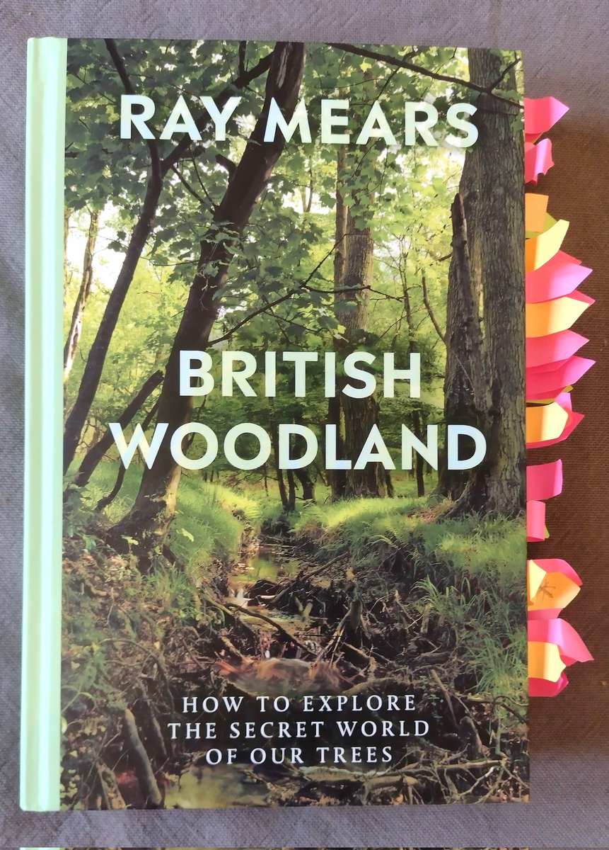 I might have gone slightly overboard with my research, but I'm so excited about meeting @Ray_Mears @ilkleylitfest on Fri 6th Oct. We'll be chatting on stage at King's Hall, all about his brilliant new book. You can ask him questions too! More info here: ilkleyliteraturefestival.org.uk