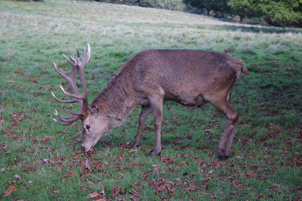 Martin Hey tweet media