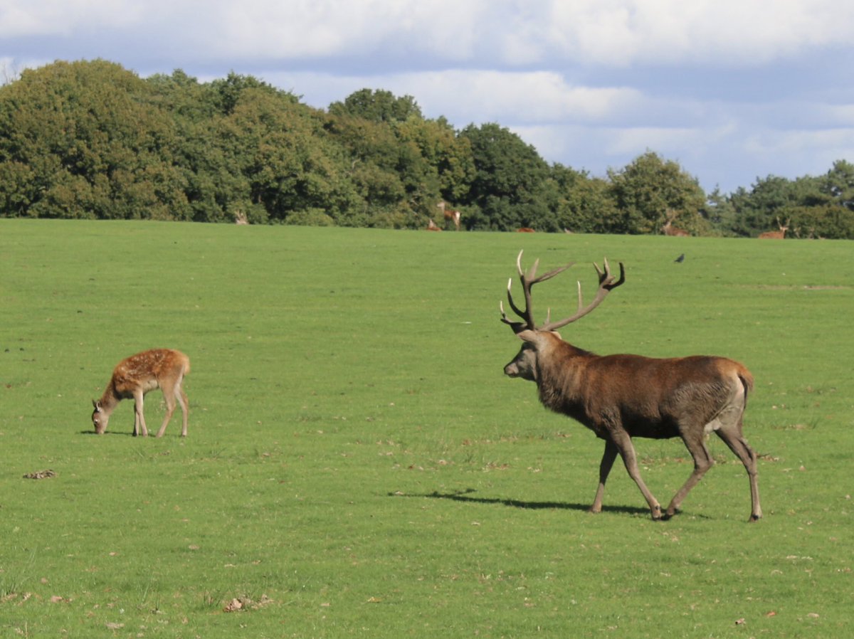 Martin Hey tweet media