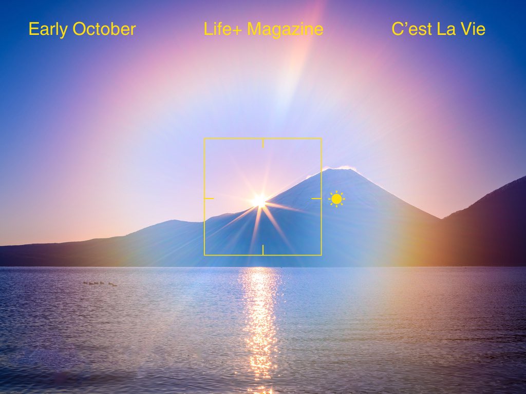 lliifffe's tweet photo. Coming soon. https://t.co/74oFEHj0If