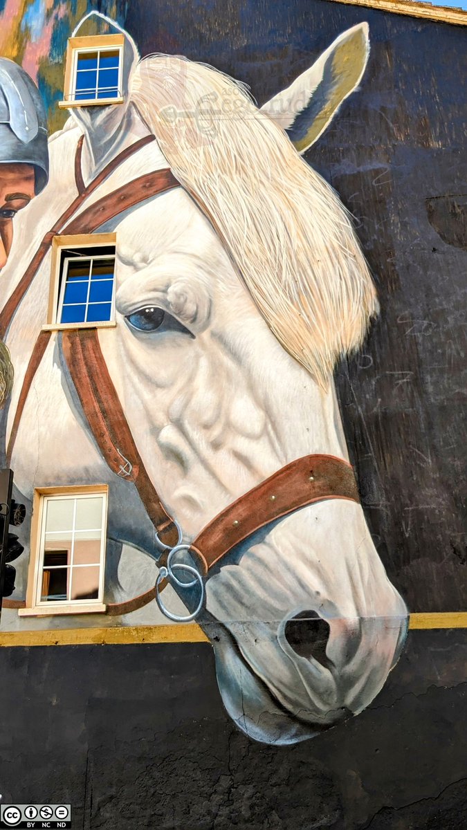 Magnífico mural cidiano realizado por <a href="/Sera_gare/">Sergare</a> en la calle Alvar Fañez de #Burgos