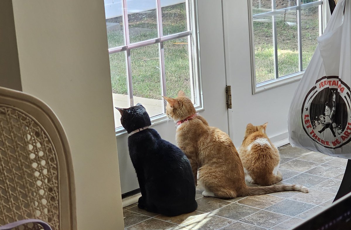 EvanBoBevin's tweet photo. What are you looking at... https://t.co/8LsTXIdoGd
