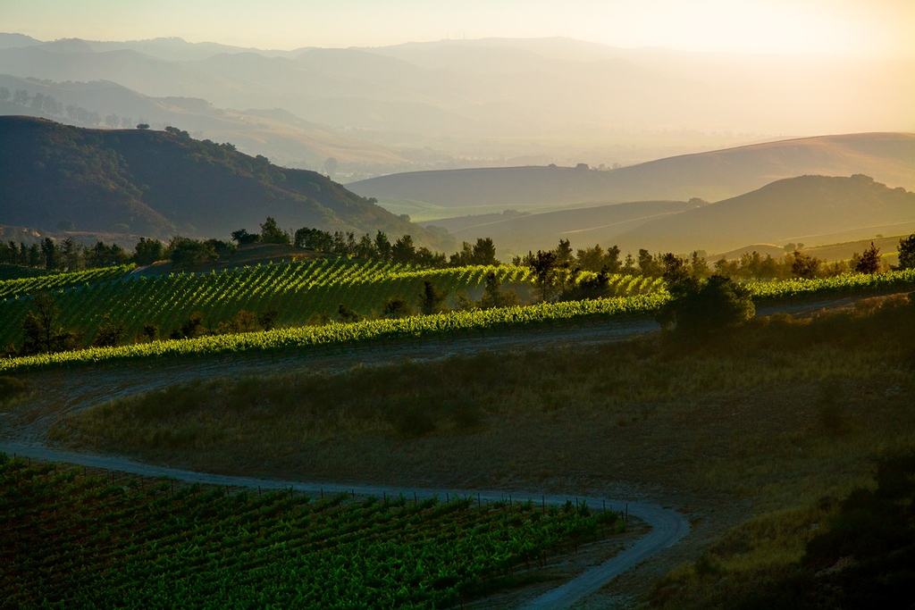 Amid the vibrant buzz of harvest season, our pride in sustainability shines brighter than ever. Our home vineyard in Santa Barbara County is certified by Sustainability in Practice (SIP). Each drop of SEAGLASS Wine delivers both inspiring flavors and nourishes our environment.