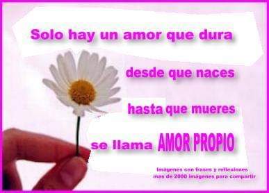 #LealPorElección
Leer es la base del aprendizaje
