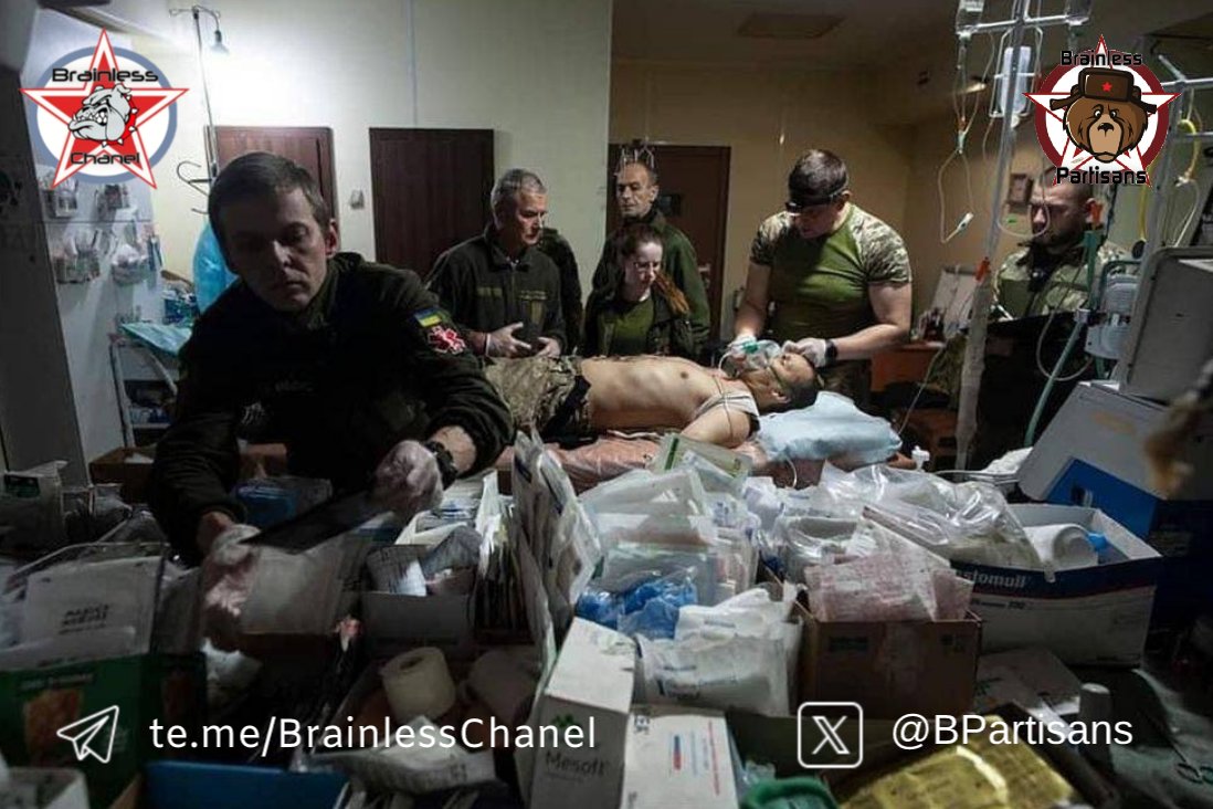 Brainless Partisans 🏴‍☠️☢️☣️🪆 tweet media