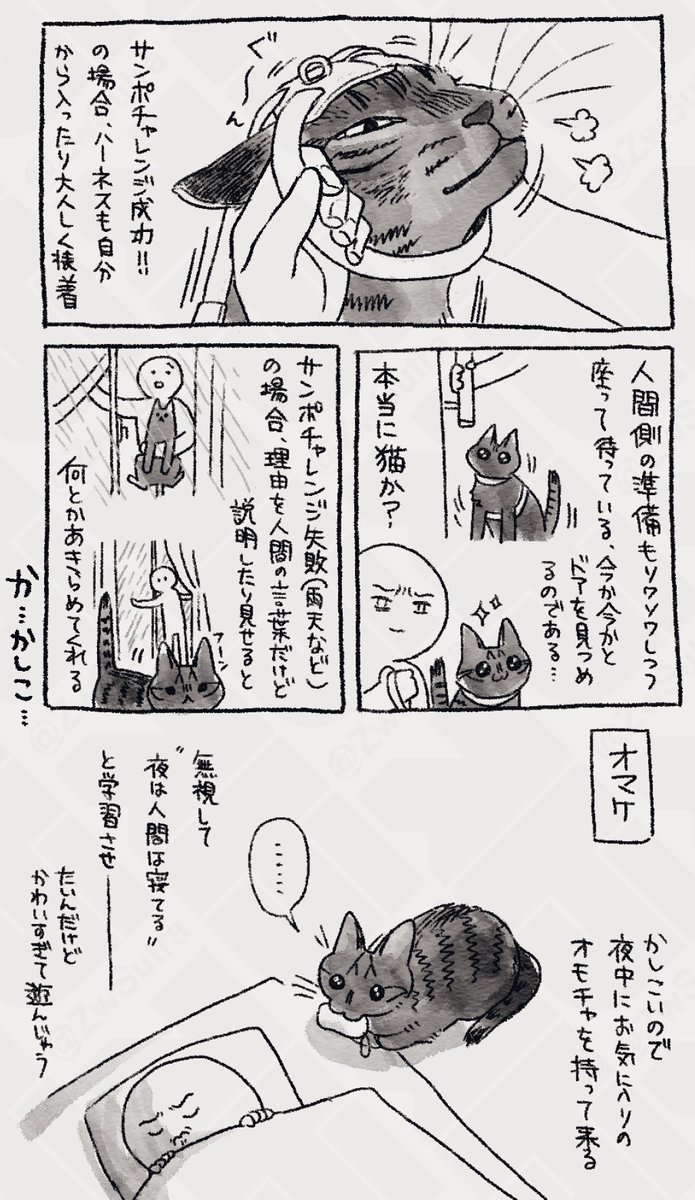 後半…のつもりだったんだけど弟猫との話が入らなかったので3回に分かれることに…

弟猫に対してもかしこ行動と言うかお前猫生何回目?て感じの対応するのでそれもメモ残しておきたい 