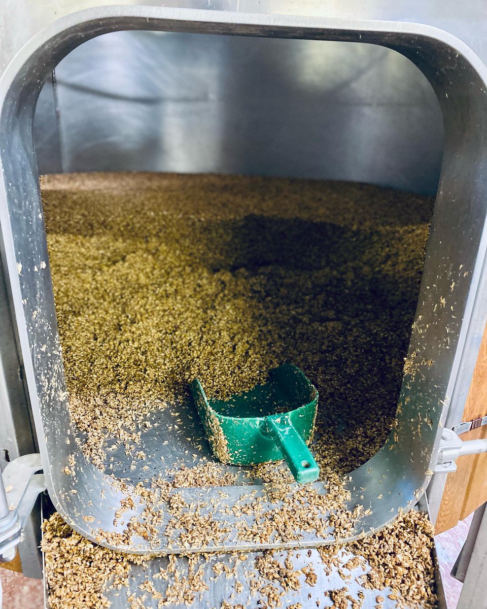Crisp Malt (@crispmalt) on Twitter photo 🍻 Cheers to <a href="/BBrewery/">Bridgehouse Brewery</a> in Keighley, West Yorkshire, for #brewing with some of the finest #malt ingredients at their #CraftBrewery! 👏
📷 Image credit: @bridgehousebrewery
#CrispMalt #BrewDay 🍻 Cheers to <a href="/BBrewery/">Bridgehouse Brewery</a> in Keighley, West Yorkshire, for #brewing with some of the finest #malt ingredients at their #CraftBrewery! 👏
📷 Image credit: @bridgehousebrewery
#CrispMalt #BrewDay